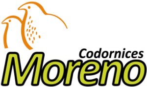 Logotipo de ANTONIO MORENO SINUES S.A.